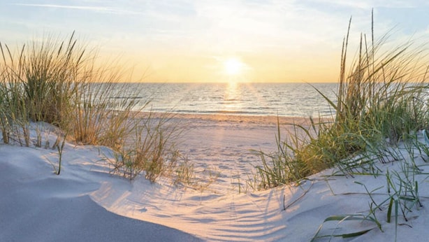 Ein Strand mit Dünen und Gras im Vordergrund, der zum Meer führt.