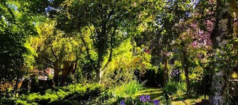 Pet-Friendly Vintage Home • Fenced Yard