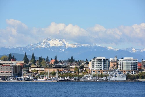 Direct Ferry to DT Seattle/World Cup.Pet-Friendly