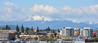 Direct Ferry to DT Seattle/World Cup.Pet-Friendly