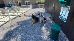 Ein eingezäunter Außenbereich mit zwei Hunden, einer Stelle für Tierkot und einem Gebäude im Hintergrund.