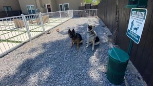 Dos perros sentados sobre grava en un área exterior cercada, con una estación de recogida de desechos de mascotas cerca.