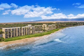 On the beach - Sugar Beach Resort Condo w/ Shared Grill, Private W/D-Swim, Surf, and More (Kihei)
