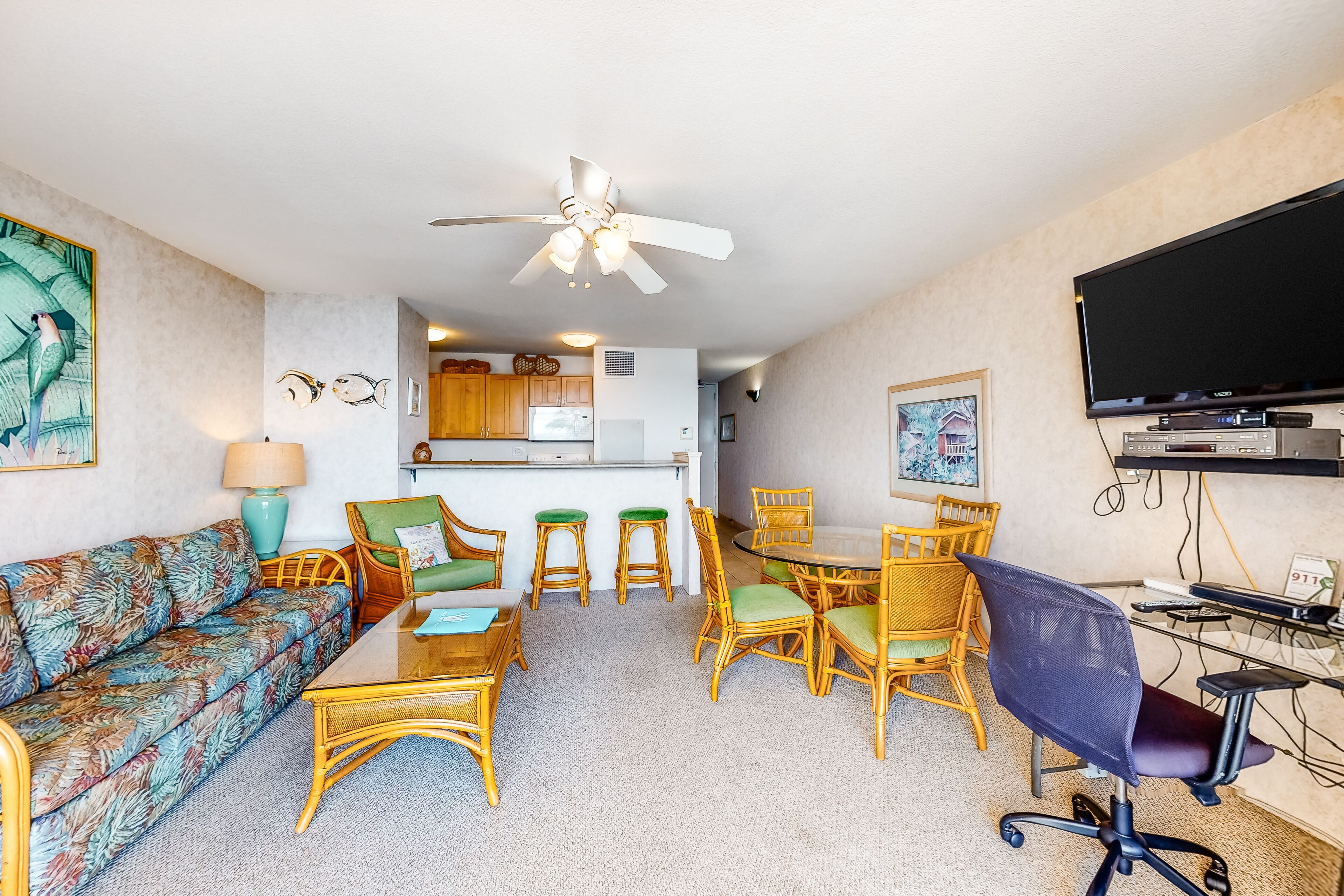 TV, DVD player, books, music library