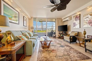 TV, DVD player, books