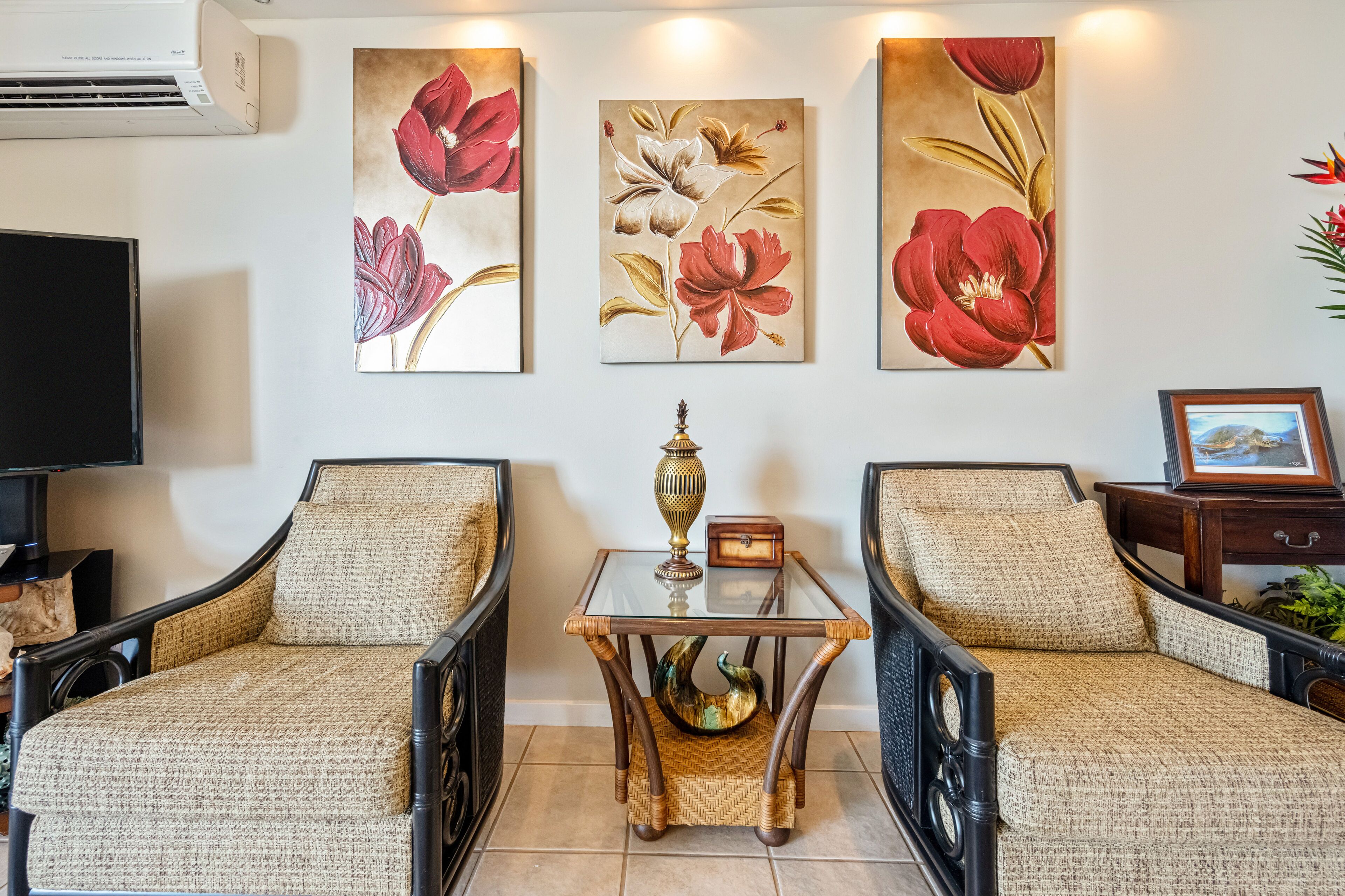 TV, DVD player, books