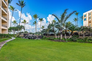 Stroll through the lush courtyard, surrounded by tropical plants and palm trees, along a winding pathway.