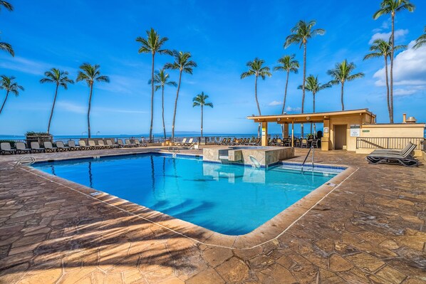 Relax by the pool surrounded by palm trees and enjoy the ocean view.