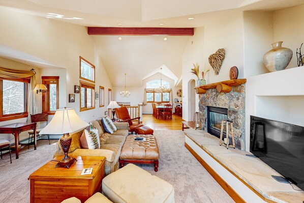 TV, fireplace, books