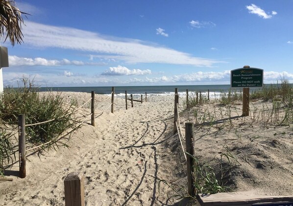 Playa en los alrededores y camastros 