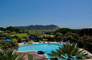 Indoor pool, a heated pool - Oceanview Home with the Surf & Sand Lifestyle!!! (Del Mar)