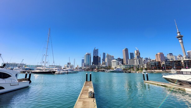 A marina with boats docked, a city skyline in the background, and a prominent tower.