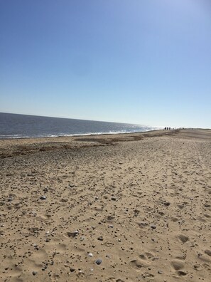 Une plage avec un rivage sablonneux et quelques rochers épars.