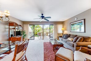 Televisio, DVD-soitin, kirjoja, videokirjasto