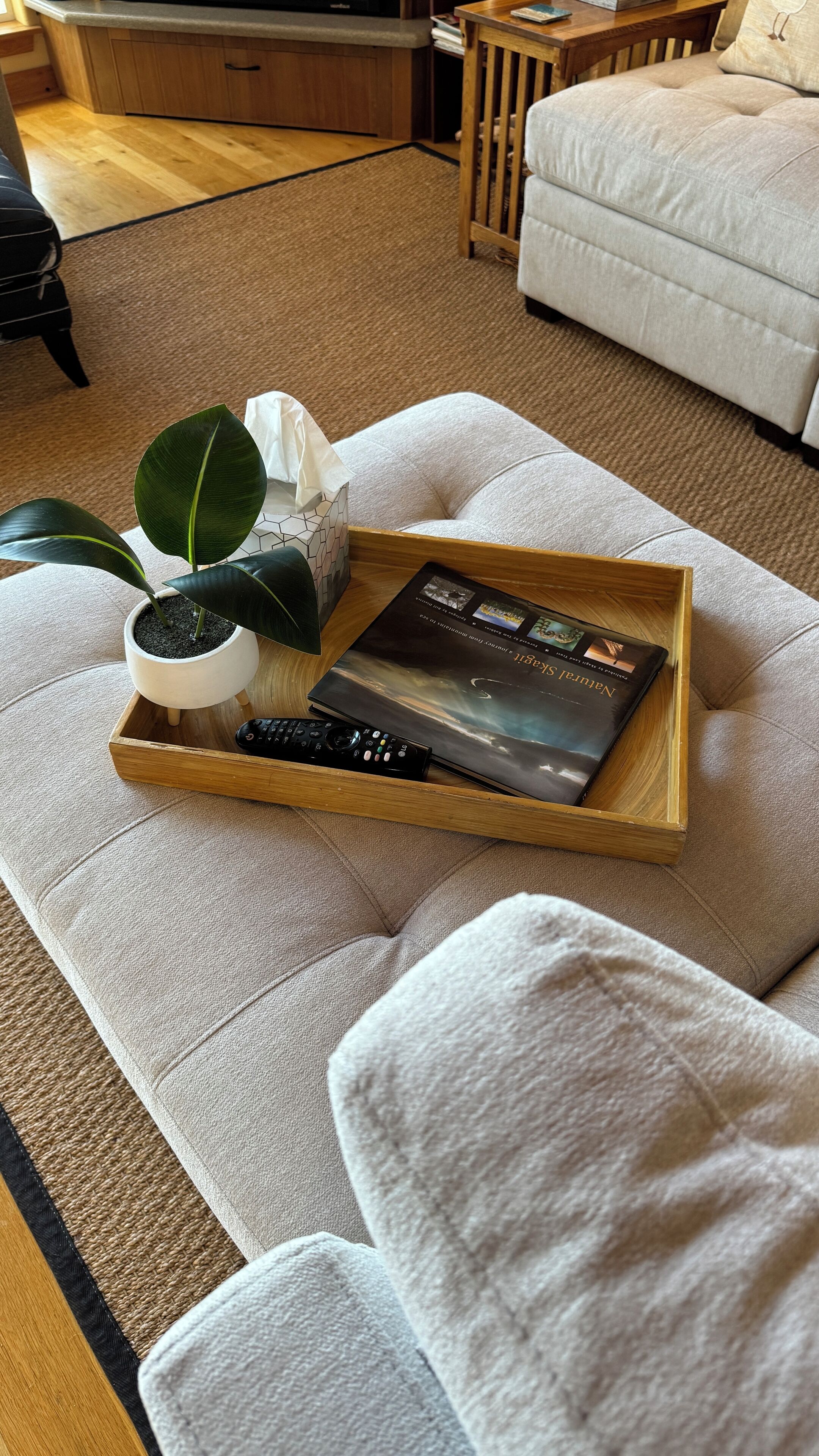 TV connectée, livres