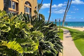 Stroll along the lush, tropical pathway to a beachfront retreat with a scenic ocean view.