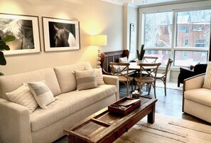 Smart TV, fireplace, books, stereo