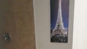 Ein Badezimmer mit Toilette, einer Dusche mit sechseckigen Fliesen und einem Bild des Eiffelturms an der Wand.