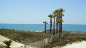 Beach nearby, sun-loungers, beach towels - 100 STEPS TO BEACH — RENOVATED 2BR PET FRIENDLY CONDO AT CAPE SAN BLAS (Port St Joe)