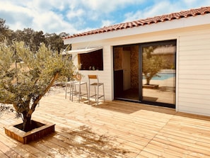 Pool house: outdoor kitchen with bar + beer dispenser + dart board