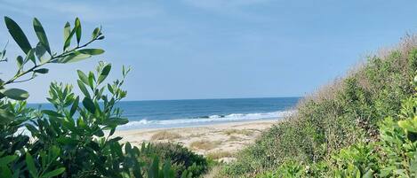 Nær stranden, solsenger og strandhåndklær