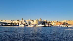 Un paysage urbain côtier avec une marina remplie de bateaux, des bâtiments historiques et un ciel bleu dégagé.