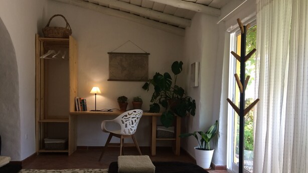 A cozy room with a wooden desk, a chair, a lamp, and several potted plants.