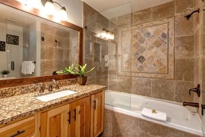 Combined shower/bathtub, hair dryer, shampoo