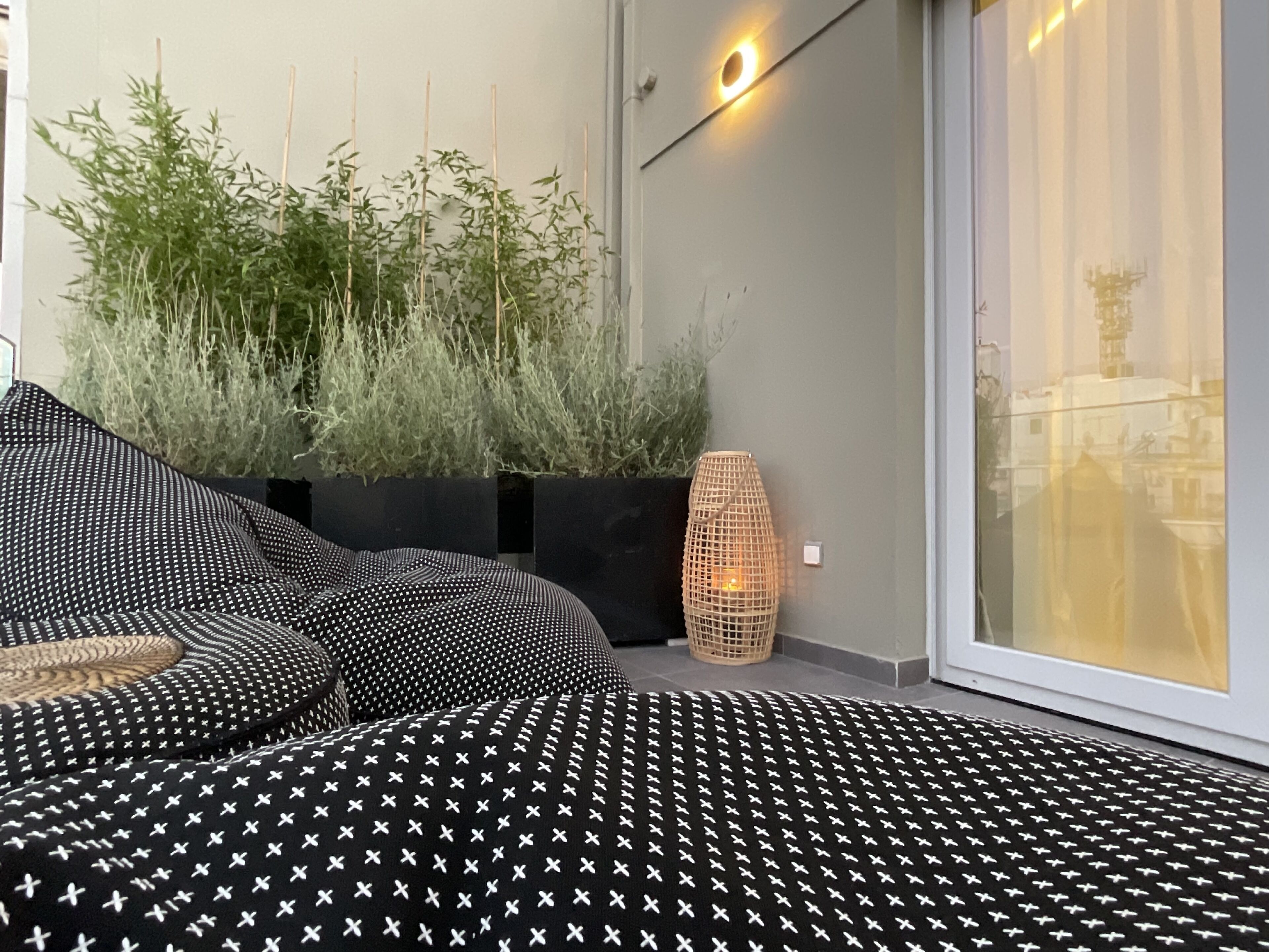 A modern living area with a sofa set, a large potted plant, and a floor lamp.