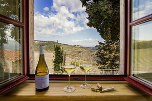 Superior Double Room | View from room - La pietra del cabreo (Greve in Chianti)