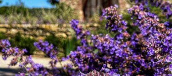 La pietra del cabreo