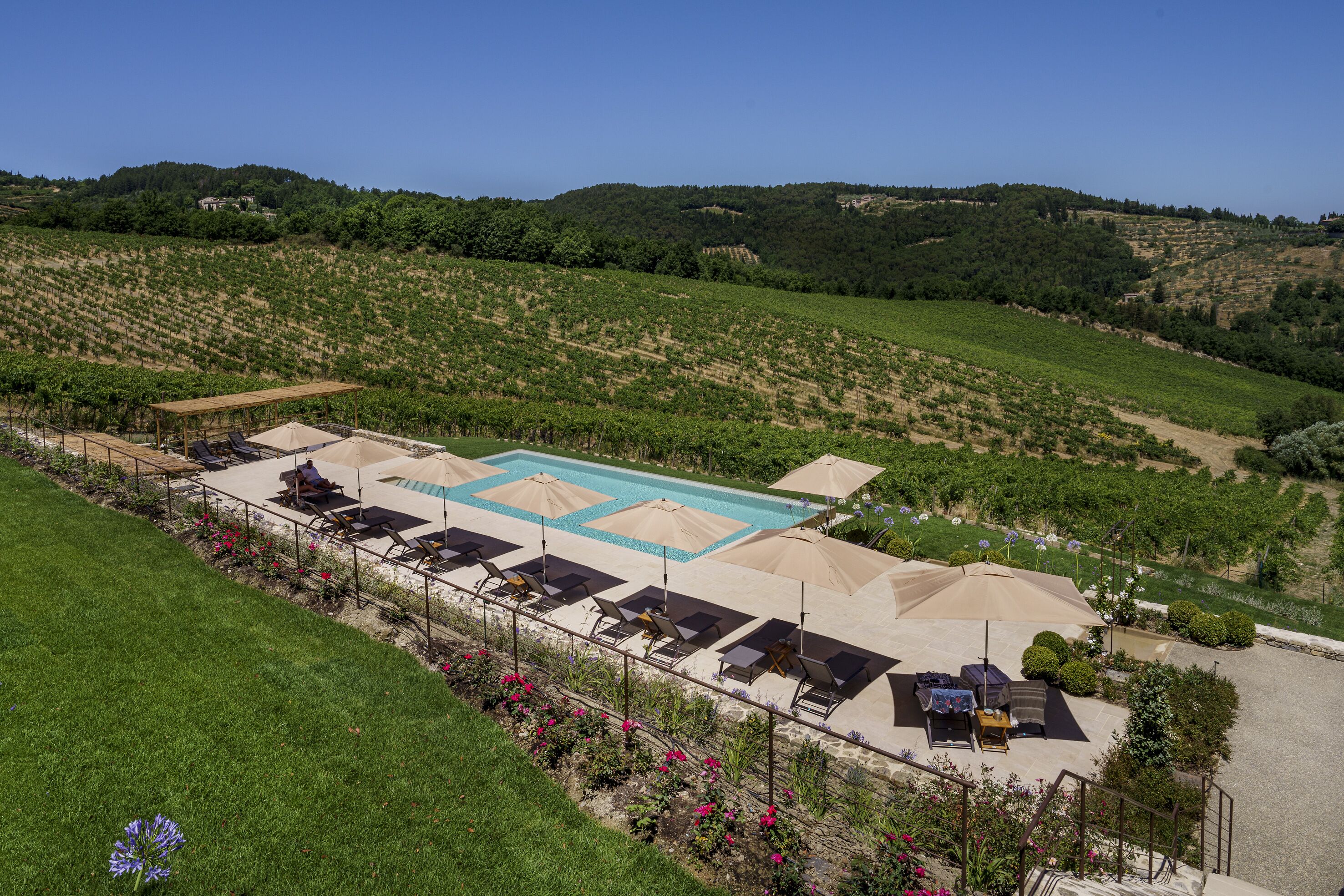 A pool area with sun loungers and umbrellas, surrounded by a landscaped garden and vineyards.