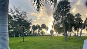 Un parque con una zona verde, palmeras y un cuerpo de agua al fondo.