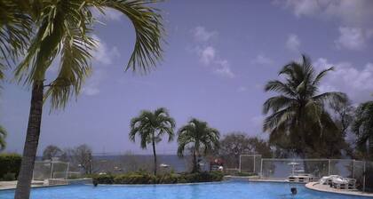 studio la Martiniquaise