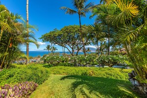 Property grounds - Maui Kamaole #A-109 Spacious, Ocean View, Full A/C, Across Kamaole Bch III (Kihei)