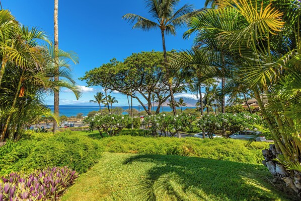 A lush garden with palm trees and a view of the ocean.