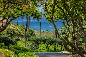Stroll through a tranquil garden setting surrounded by lush greenery and a serene body of water.