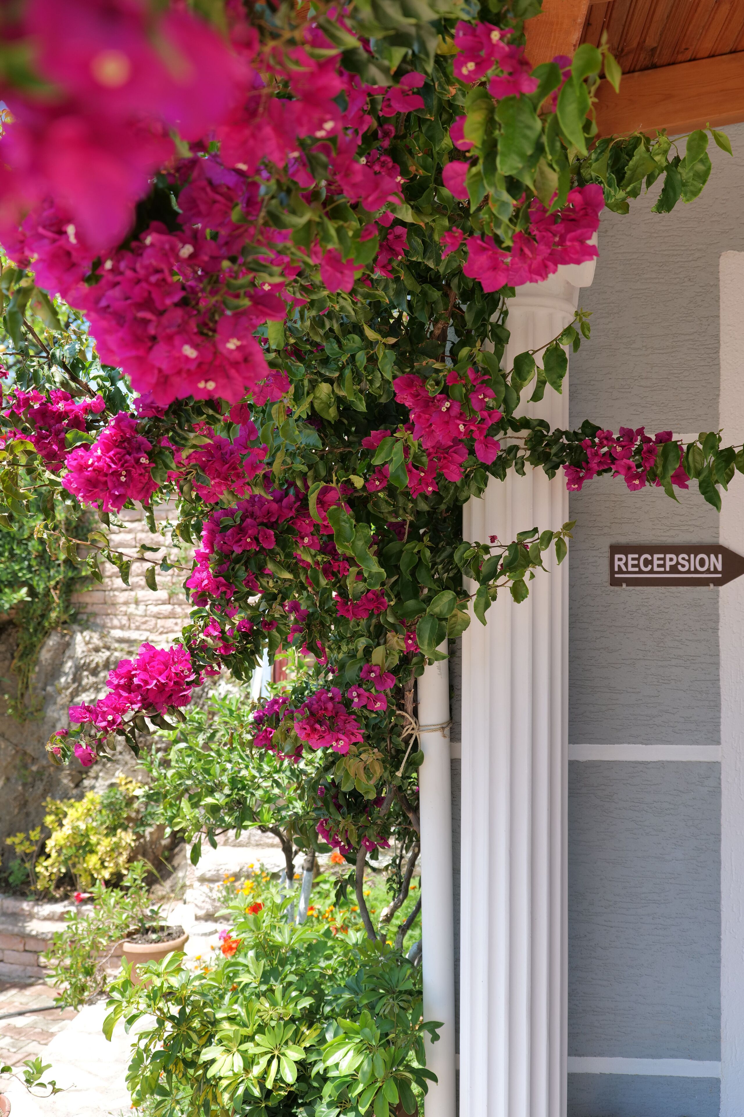 Photo - Hotel Milo Ksamil