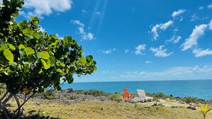 Une vue sur la plage, avec un ciel dégagé, un arbre et deux chaises de plage.