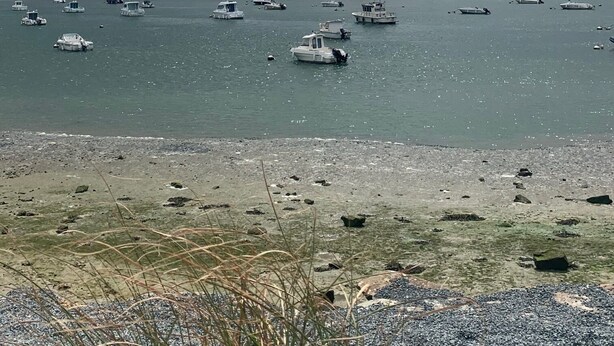 A coastal scene with boats on calm water, a sandy beach, and a forested area in the background. - Appartement 8 Personnes, 3mn de la mer , 1 mn de la Thalasso, Centre Ville, (Ouistreham)