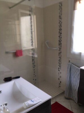 Shower, hair dryer