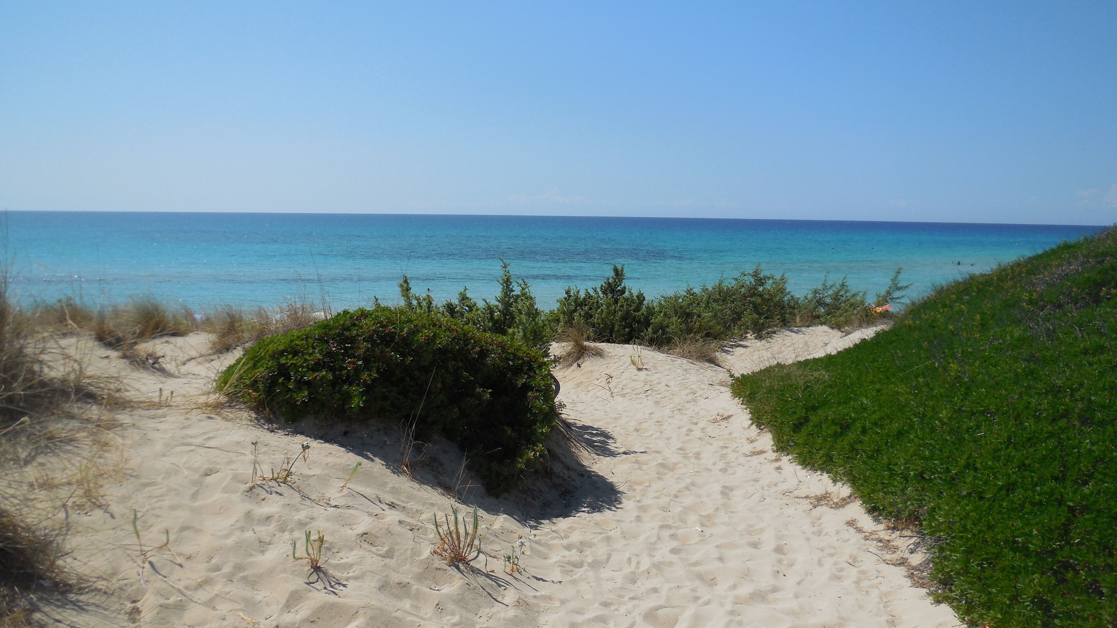 Beach