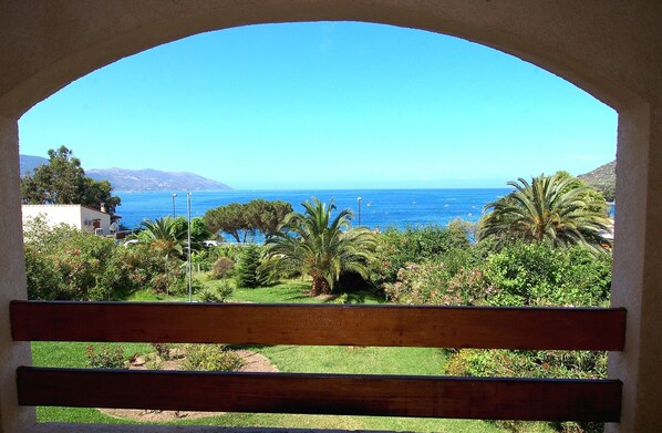 Property grounds - Beachfront apartment in Tiuccia with 2 rooms (Casaglione)