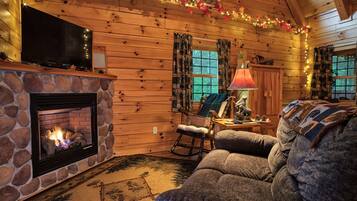 Televisor, llar de foc, reproductor de DVD i llibres