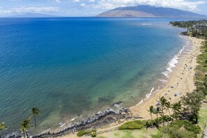 بالقرب من الشاطئ