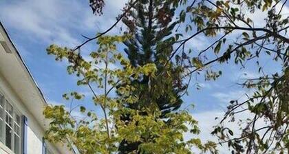 Elegant Apartment in Quiet & Central Neighborhood