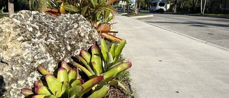 DĂ©tail de lâextĂ©rieur