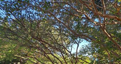 Freshly Updated 2 Bed/2 Bath