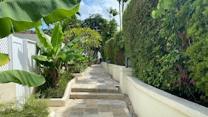 A stone pathway leading up a set of steps in a lush garden area with a white wall on one side and dense greenery on the other. - Tradewinds, villa with sea views & pool, 1min walk to beach.  (Saint Peter)