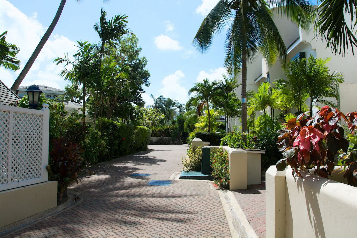 A paved pathway lined with palm trees and a white fence, leading to a building with a modern design.